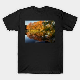 New England Autumn T-Shirt